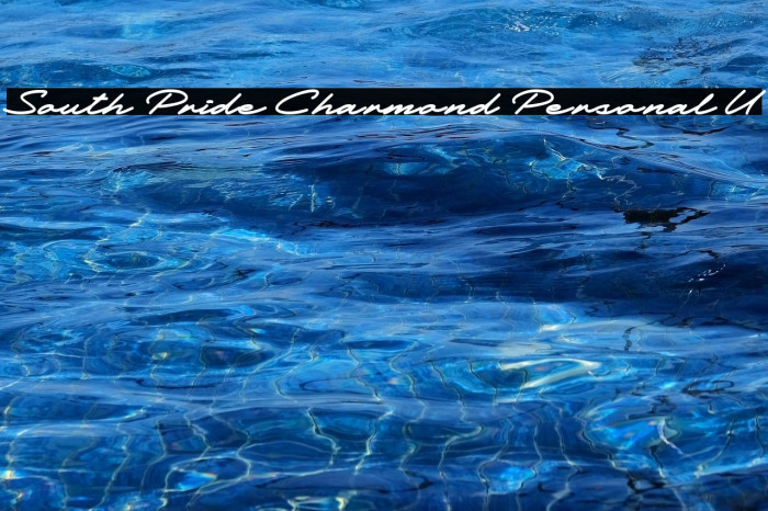 South Pride Charmond Personal U Example 1