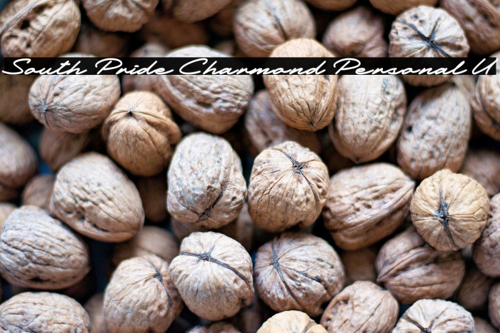 South Pride Charmond Personal U Example 2