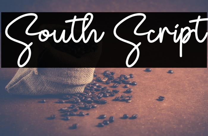 South Script Example 1