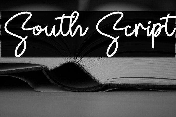 South Script Example 3