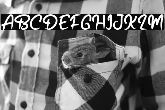 South Sea Font examples