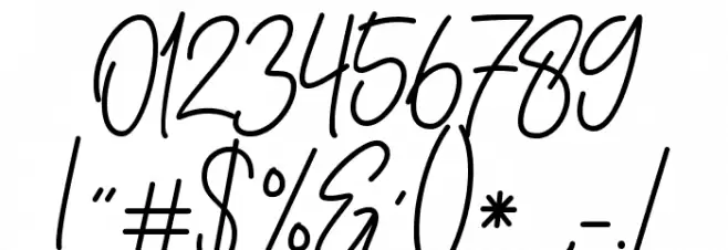 South Signature Font OTHER CHARS