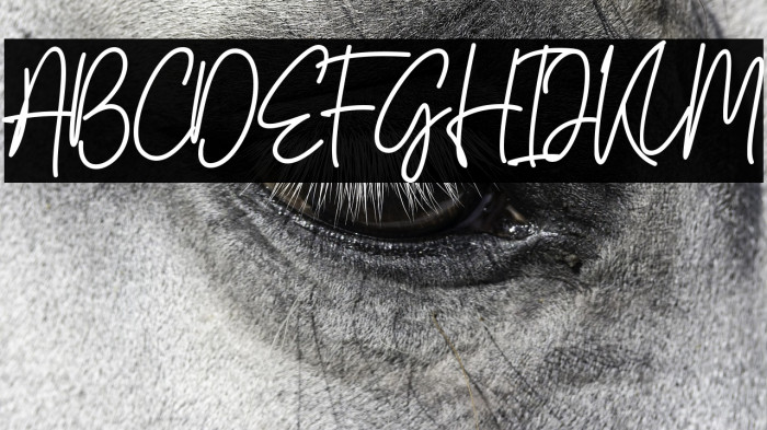 South Signature Example 1