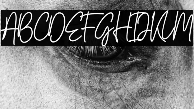 South Signature Font examples