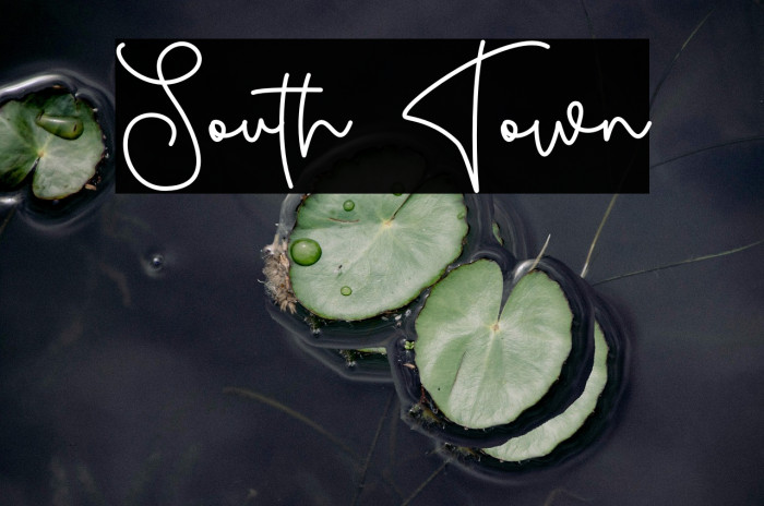 South Town Example 3