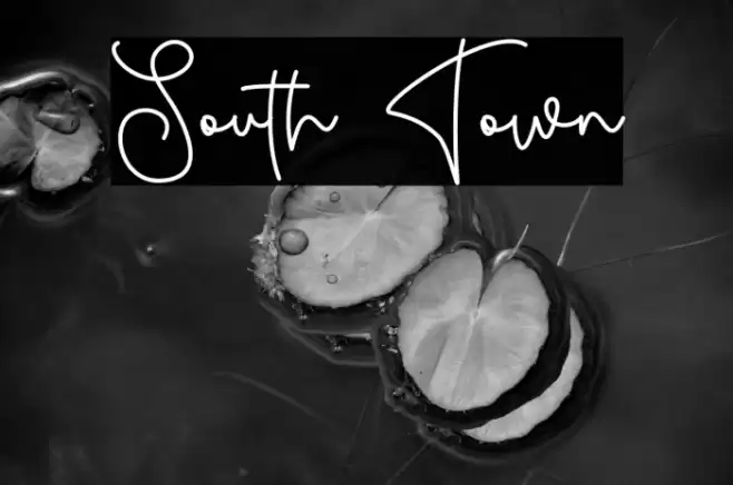 South Town Font examples