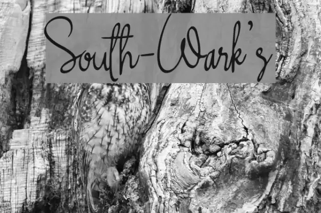 South-Wark's Font examples