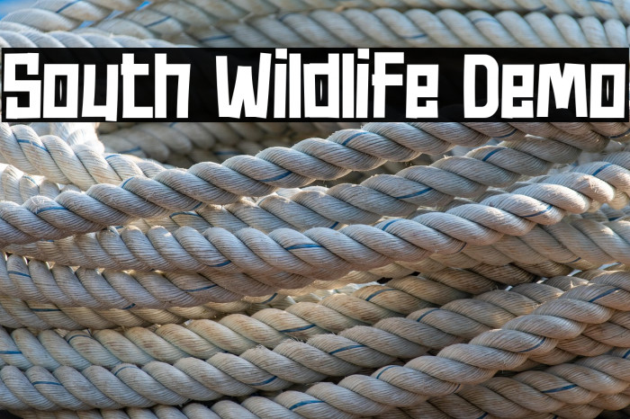 South Wildlife Demo Example 3