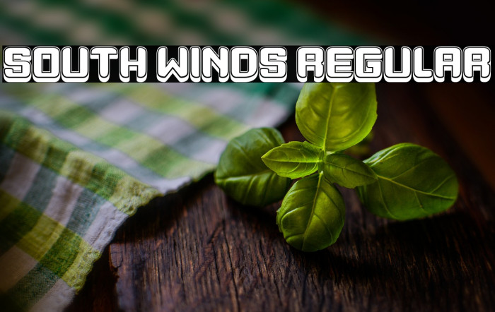 South Winds Regular Example 1