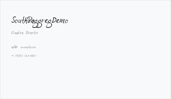 SouthBaggregDemo Business Card