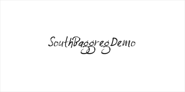 SouthBaggregDemo Logo