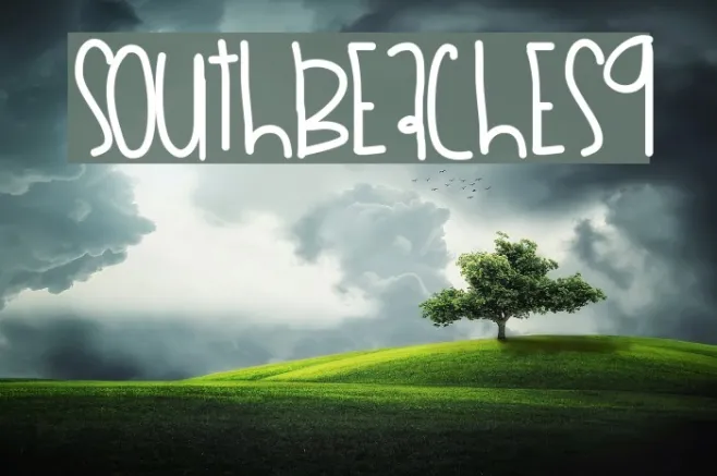 SouthBeaches9 Example 2