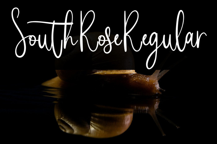 SouthRoseRegular Example 2
