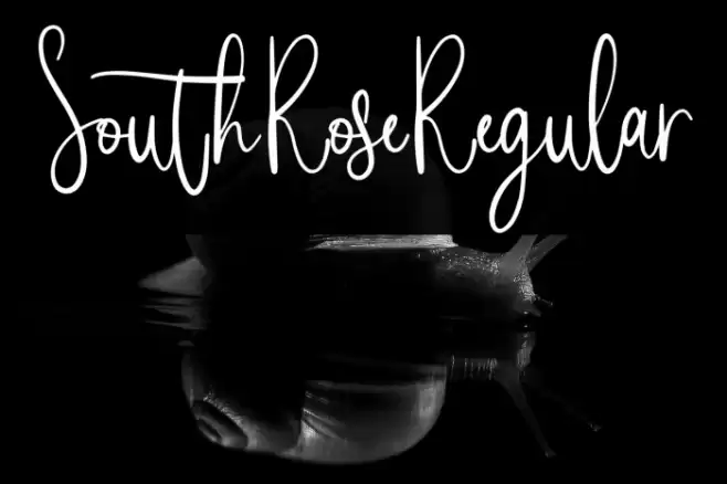 SouthRoseRegular Font examples