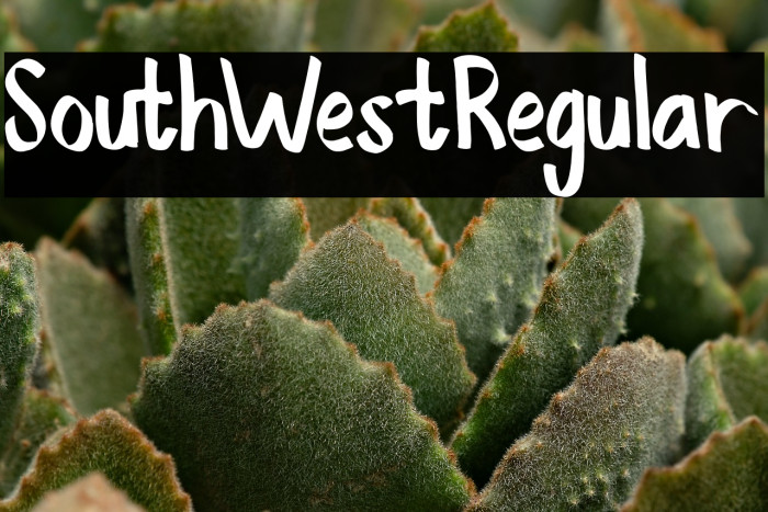 SouthWestRegular Example 1