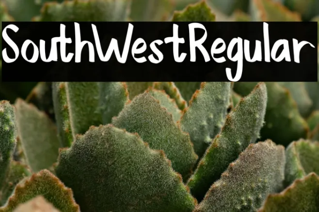 SouthWestRegular Example 1