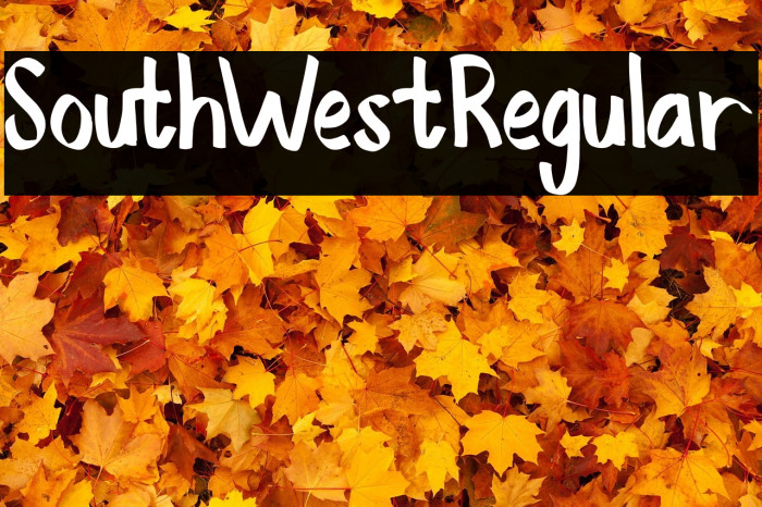 SouthWestRegular Example 3