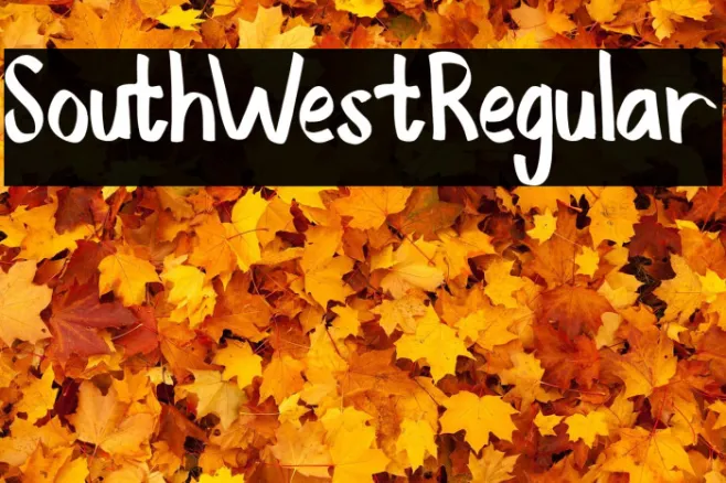 SouthWestRegular Example 3