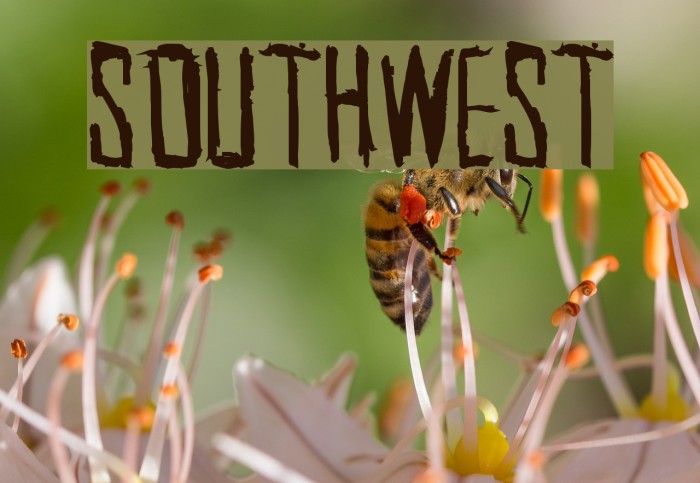 SouthWest Font examples