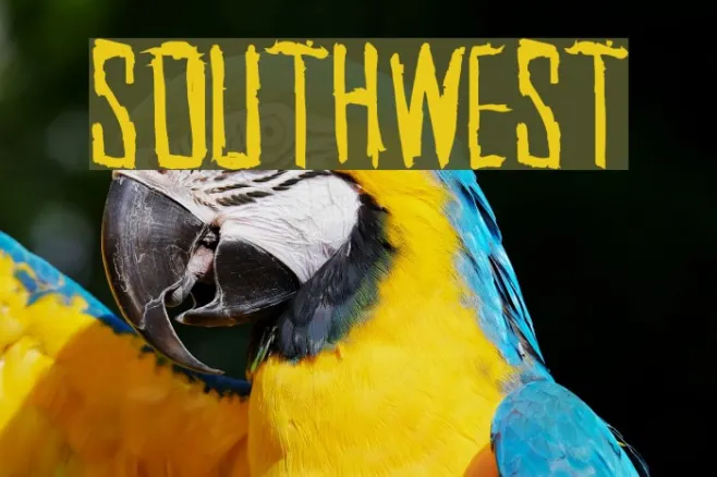 SouthWest Example 3