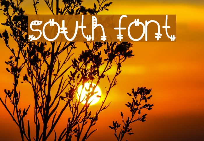 South Font examples