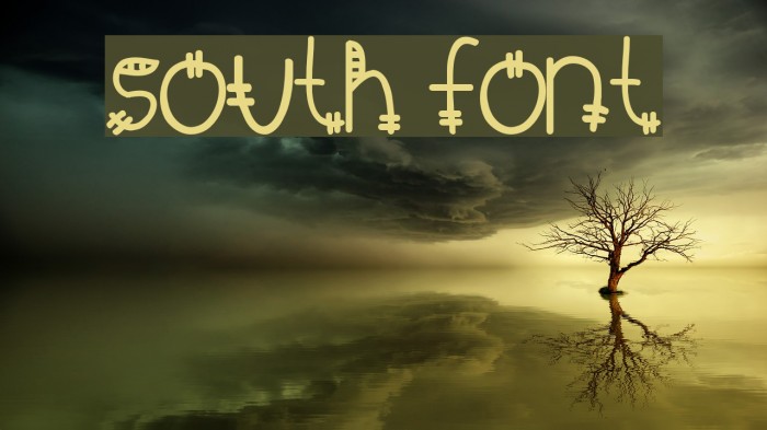 South Font examples