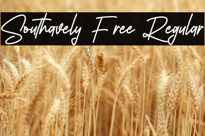 Southavely Free Regular Example 3