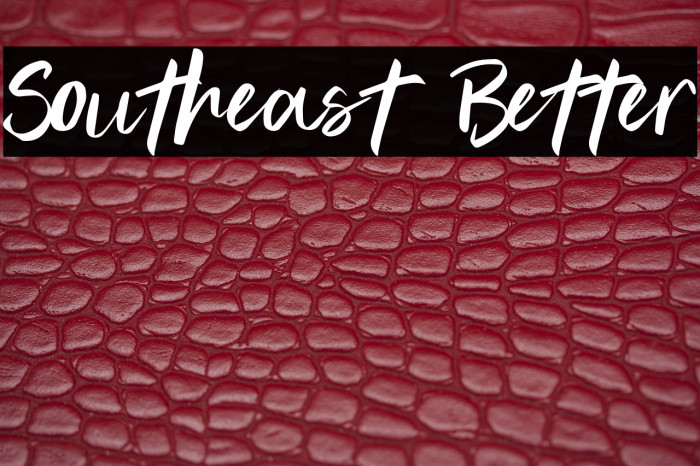 Southeast Better Example 1