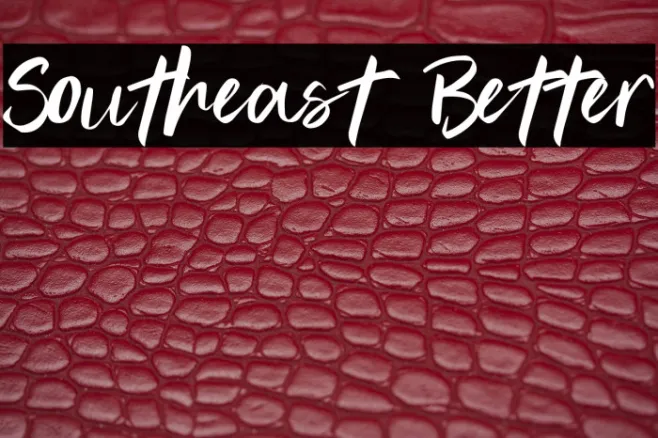 Southeast Better Example 1