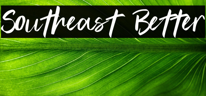 Southeast Better Example 2