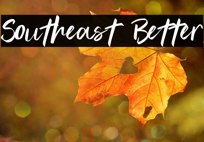 Southeast Better Example 3