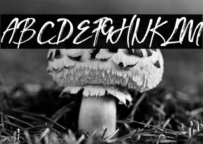 Southeast Font examples