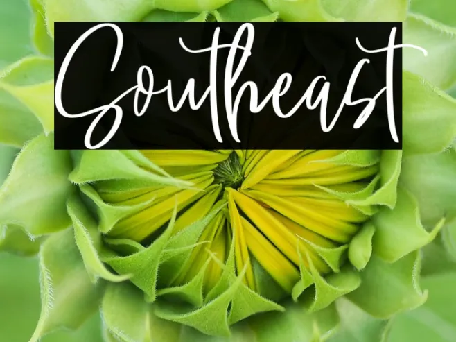 Southeast Example 2