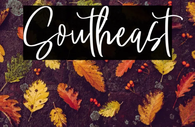 Southeast Example 3