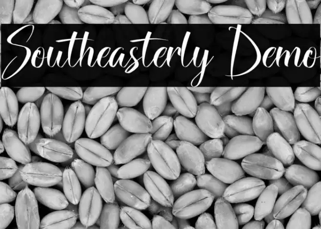 Southeasterly Demo Font examples