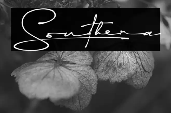 Southera Font examples