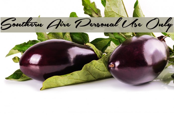 Southern Aire Personal Use Only Font examples