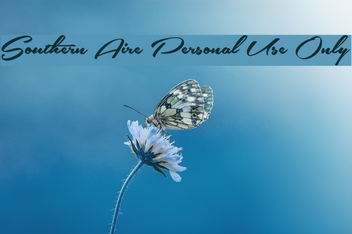 Southern Aire Personal Use Only Font examples