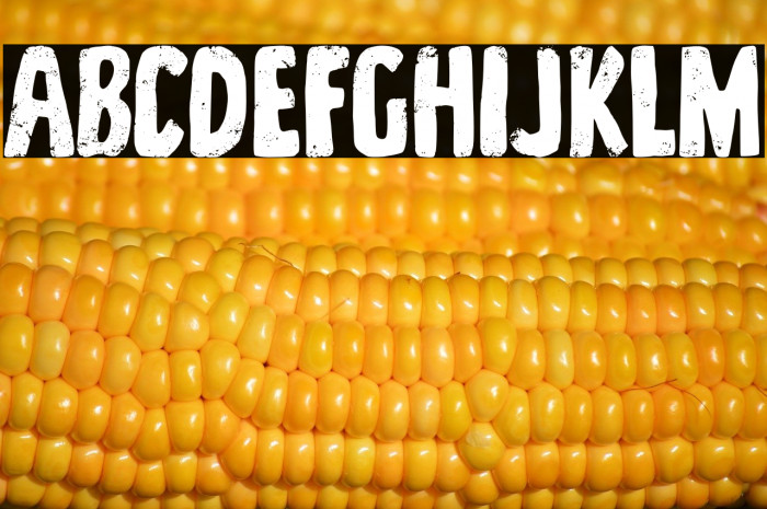 Southern Barn Example 3