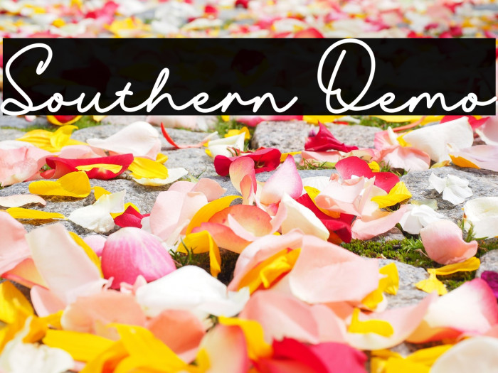 Southern Demo Example 2