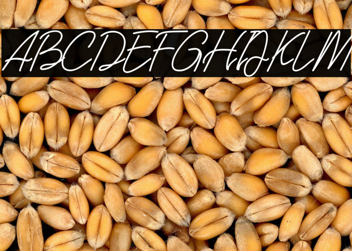 Southern Javanica  Free Version Example 2