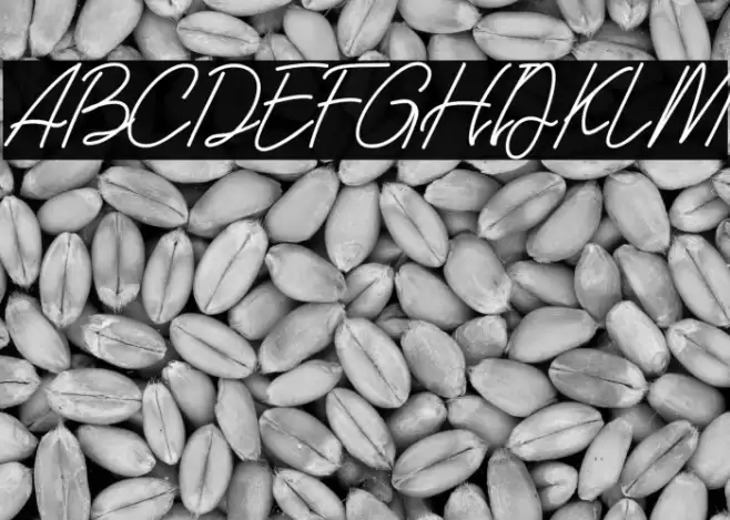 Southern Javanica  Free Version Font examples