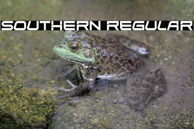 Southern Regular Example 3