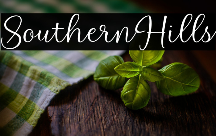 SouthernHills Example 2