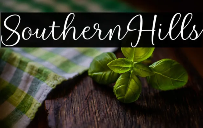 SouthernHills Example 2