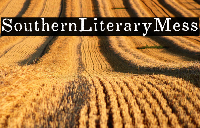 SouthernLiteraryMess Example 1