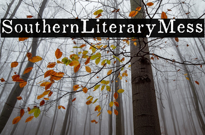 SouthernLiteraryMess Example 2