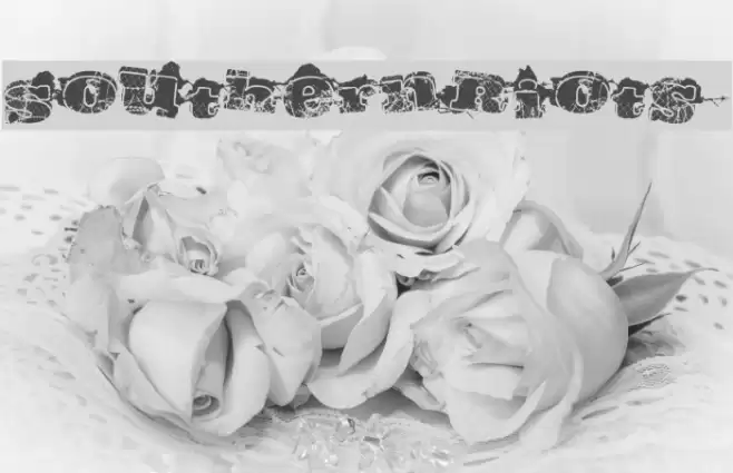 SouthernRiots Font examples