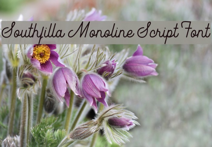 Southfilla Monoline Script Font Font examples
