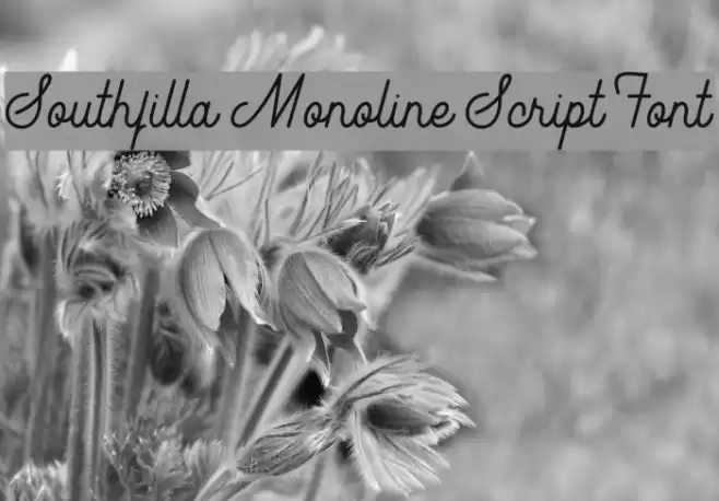 Southfilla Monoline Script Font Font examples